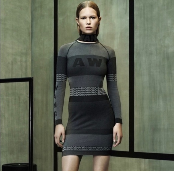 Like New Alexander Wang x H&M Dress - Picture 1 of 7